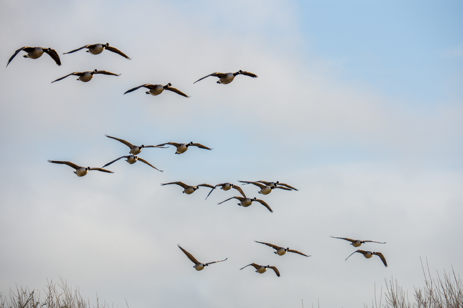 Photography by Chris Allington