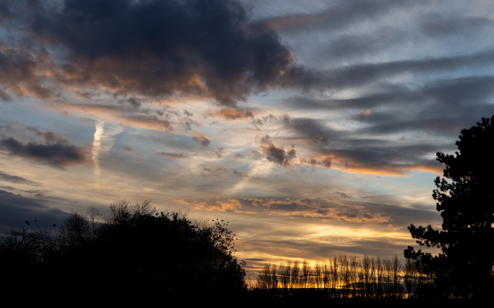 Photography by Chris Allington