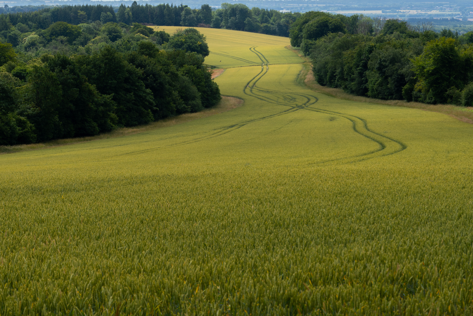 Photography by Chris Allington