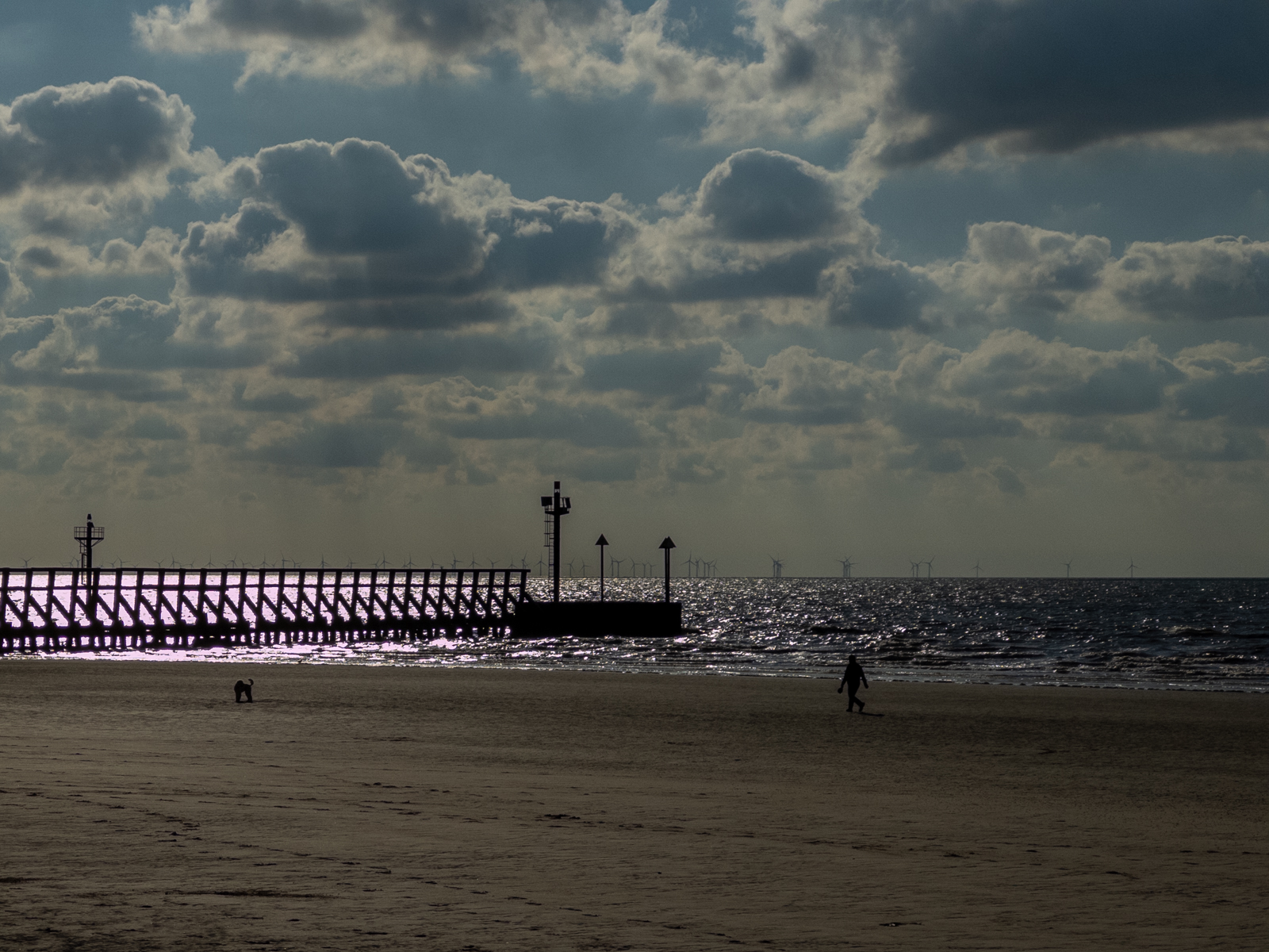 Photography by Chris Allington
