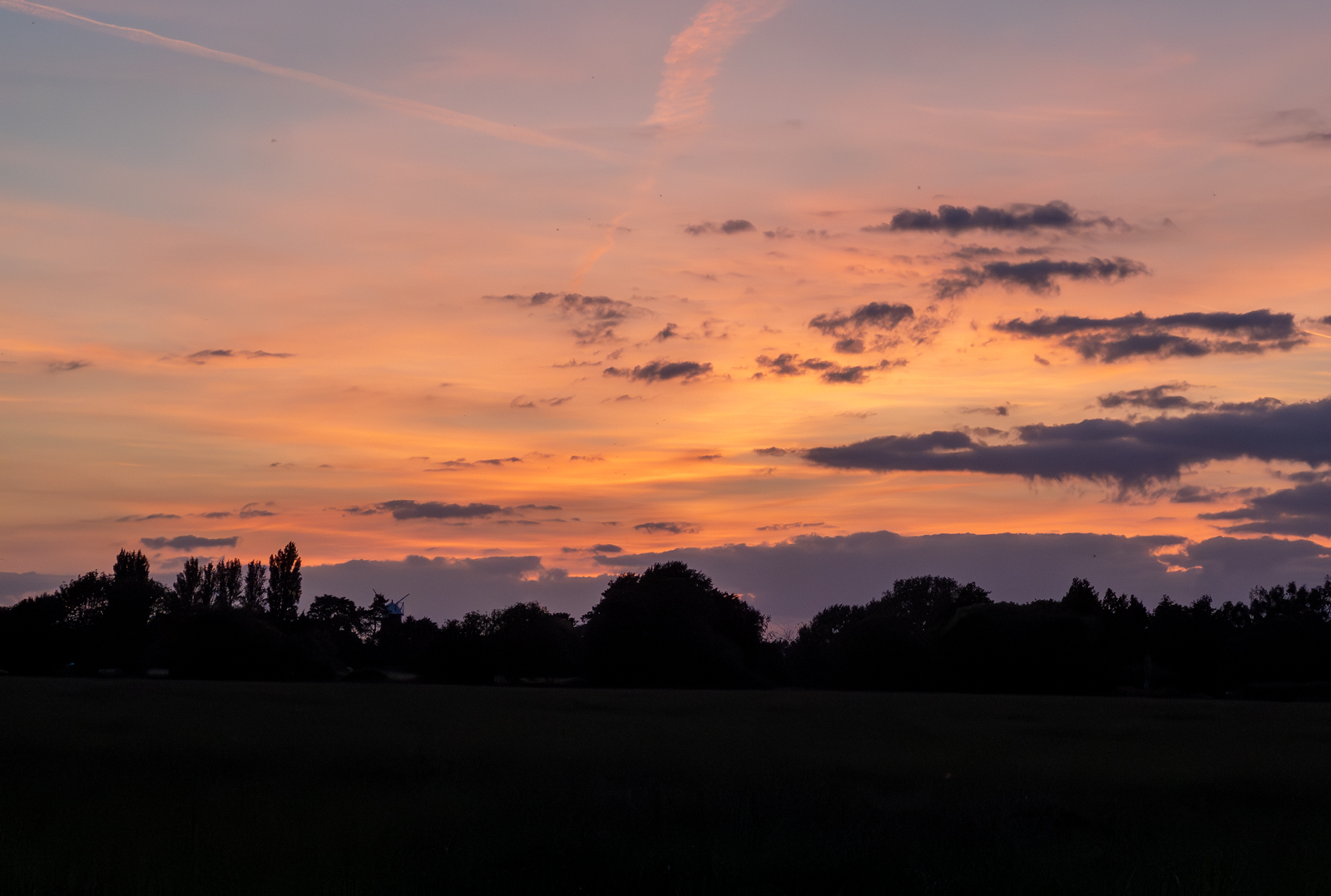 Photography by Chris Allington