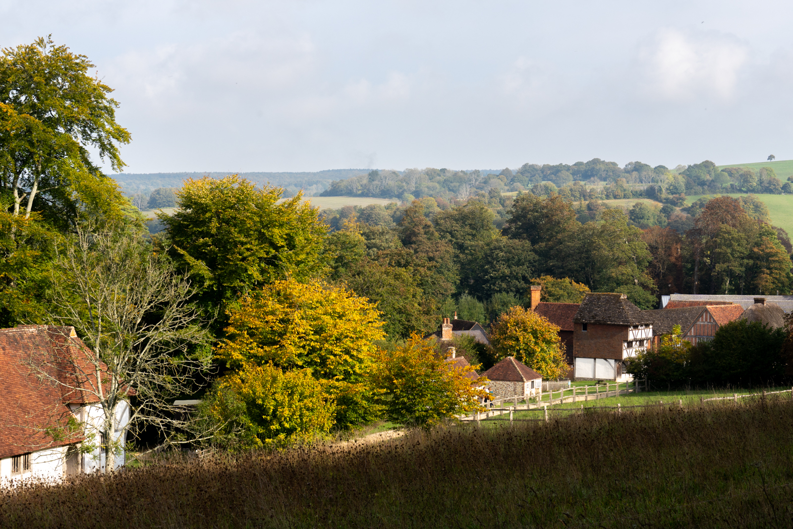 Photography by Chris Allington