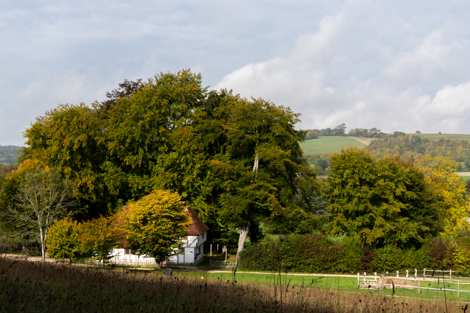 Photography by Chris Allington