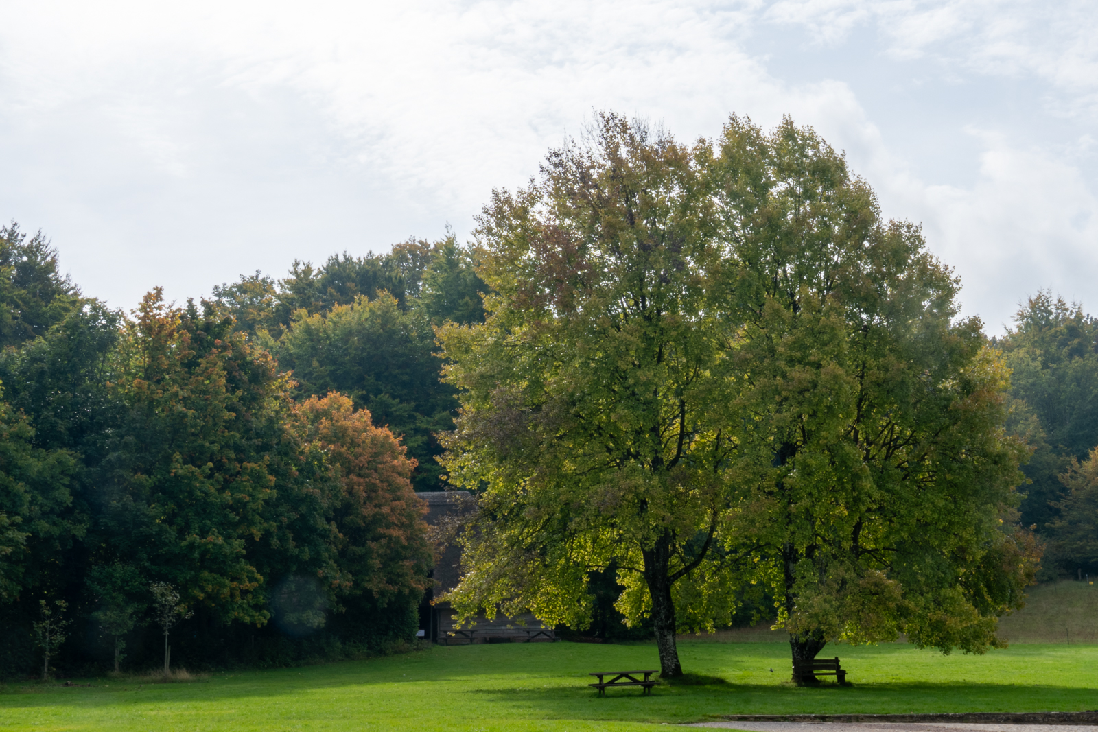 Photography by Chris Allington