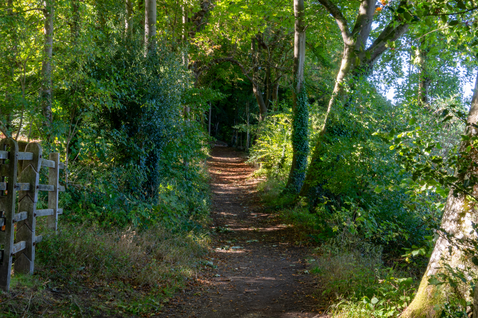 Photography by Chris Allington