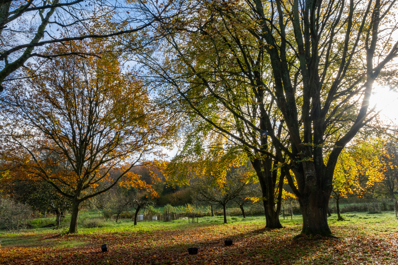 Photography by Chris Allington