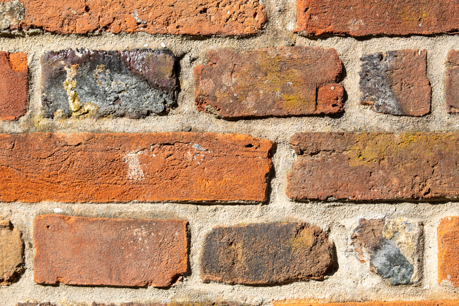 Photography by Chris Allington