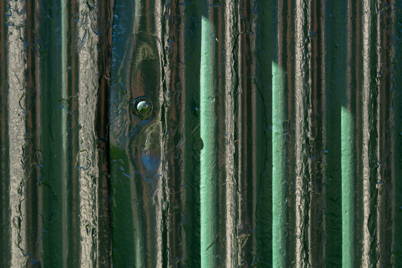 Photography by Chris Allington